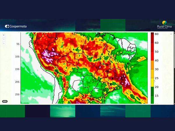 Volta a chover nesta quinta-feira