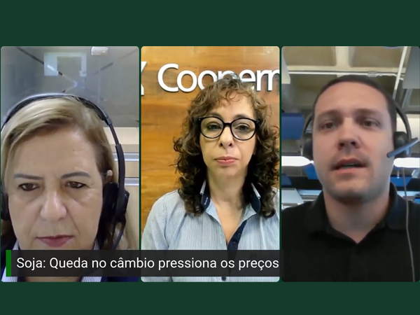 Queda no câmbio influencia negativamente os preços internos