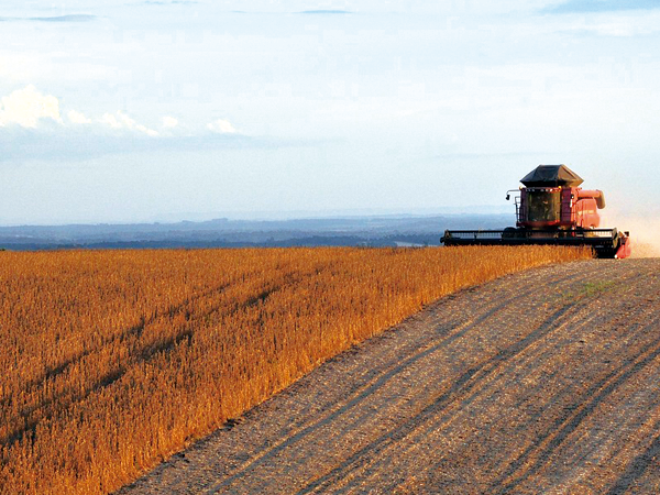 Agronegócio puxa resultado do PIB 2026