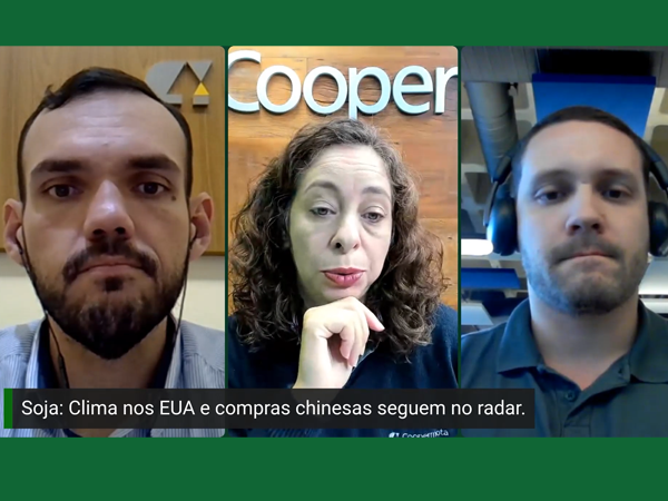 Preços da soja melhoram, mas comercialização ainda segue travada