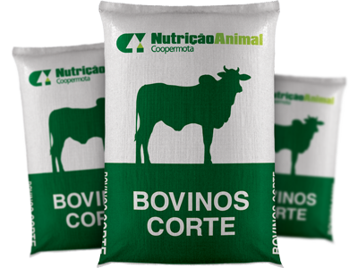 BOVINOS DE CORTE